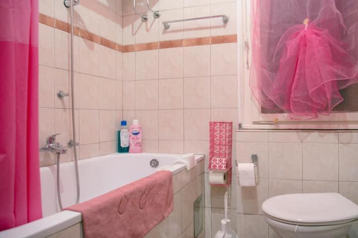 Faboulous Apartment เบลเกรด ภายนอก รูปภาพ